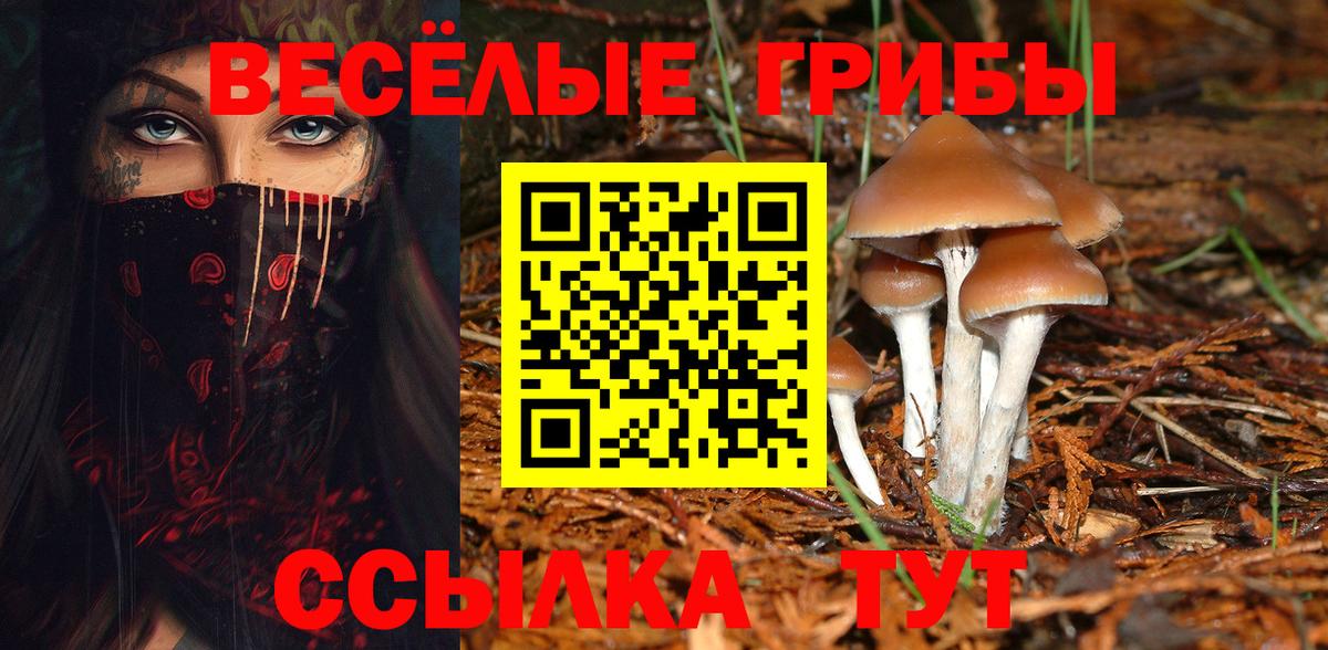 Новочебоксарск  Галлюциногенные грибы Magic Shrooms  Вход с VPN 